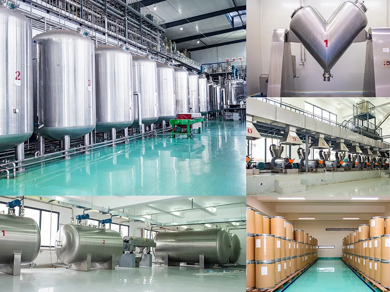 GMP-Fabrikanlage